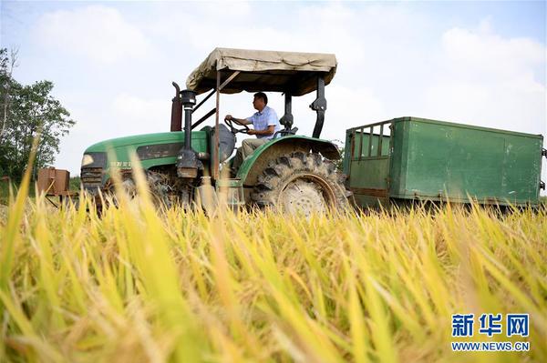 1123579574_15398679525391n 1123579574_15398679525391n