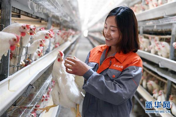 1123579574_15398679524941n 1123579574_15398679524941n