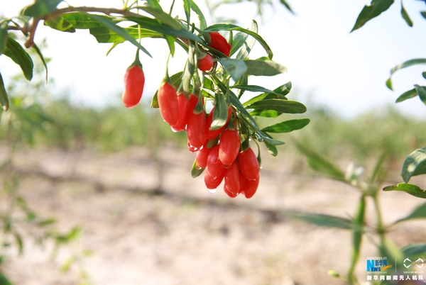 129646408_14990712262371n 129646408_14990712262371n