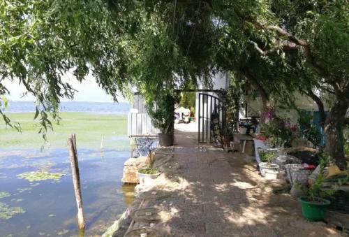 大理市双廊镇双廊村某客栈侵占洱海湖滨带图1 大理市双廊镇双廊村某客栈侵占洱海湖滨带 点击进入下一页