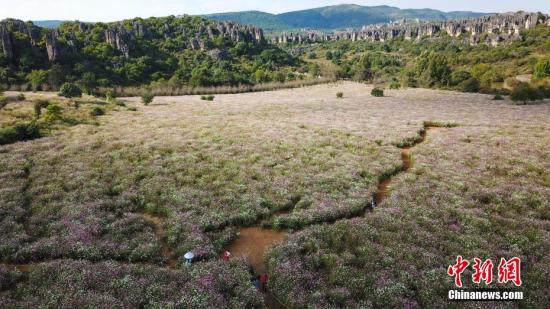 点击进入下一页