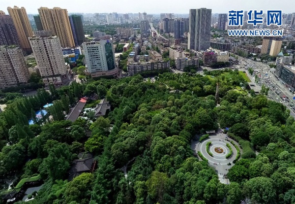 1120732033_14933437057141n 1120732033_14933437057141n