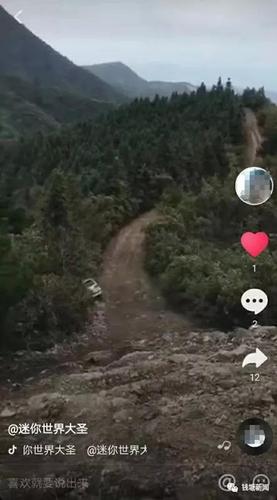 点击查看大图 百万豪车跌下悬崖:疑抖音吸粉摆拍 警方未接到报警