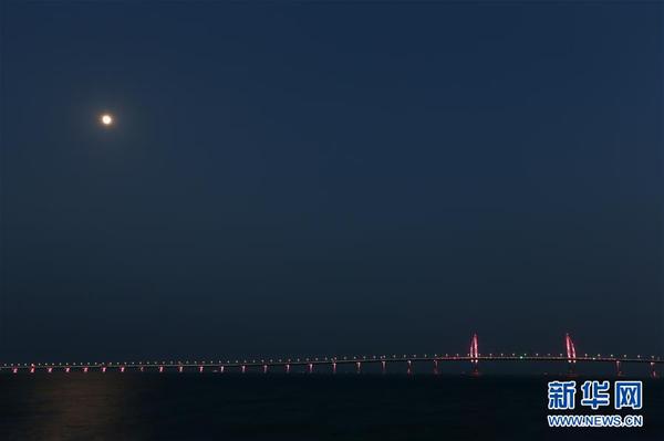 1123603025_15403009574491n 1123603025_15403009574491n