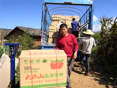 凉山50万斤苹果滞销急哭小女孩？女孩家根本没苹果