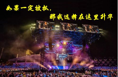 已经抓到55人 逃犯为什么偏偏爱看张学友的演唱会