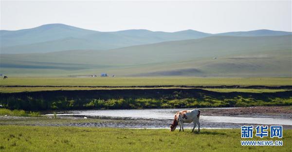 1119113045_14669082294291n 1119113045_14669082294291n