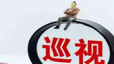 十九届中央第一轮巡视 十九届中央第一轮巡视