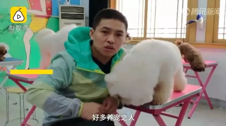 济南现共享宠物狗:养一天收费30元 不想养了就退