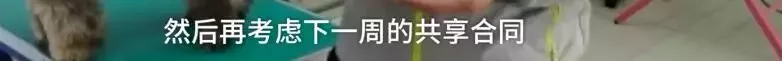 济南现共享宠物狗:养一天收费30元 不想养了就退