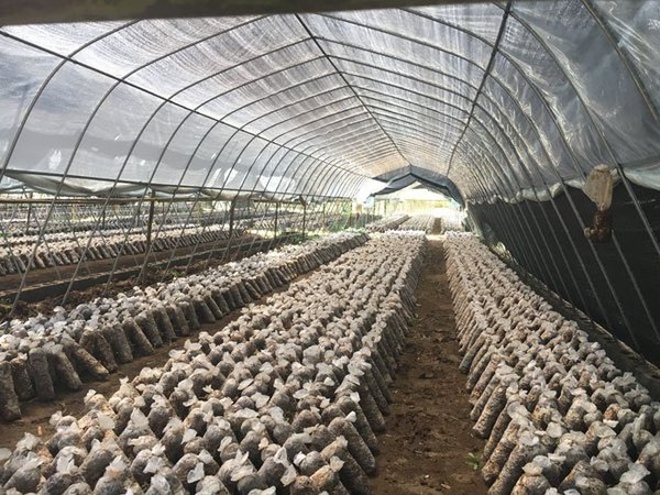 1-1Q029135121345 1-1Q029135121345