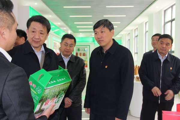 1-1Q029135015305 1-1Q029135015305