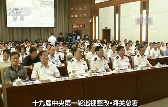 3560420691 3560420691