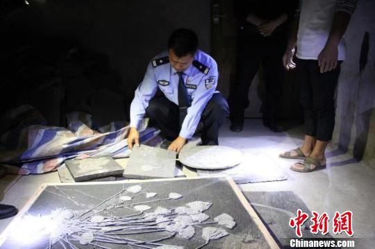 被盗挖的古生物化石。