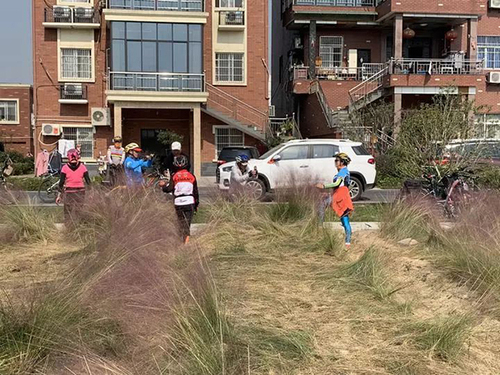 杭州又一花海沦陷:游客跳跃打滚 主播边踩踏边直播