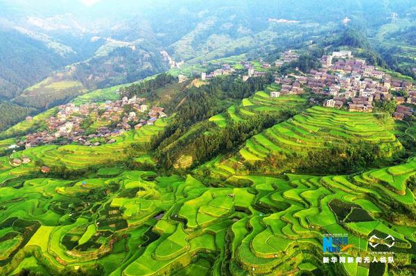 2018090514472681196 2018090514472681196