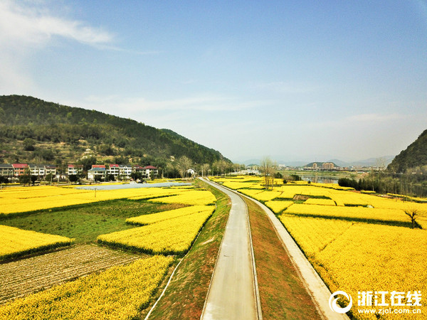 1122618915_15224620162831n 1122618915_15224620162831n