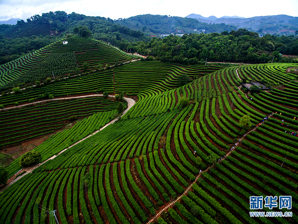 136217560_14924902885401n 136217560_14924902885401n