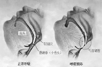 C2018-11-07zx601_P_1_1785_1577_2102_1786 C2018-11-07zx601_P_1_1785_1577_2102_1786