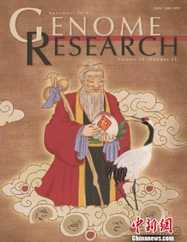 图为研究成果被遴选为国际期刊《基因组研究》的封面文章。中国科学院昆明动物研究所提供 点击进入下一页