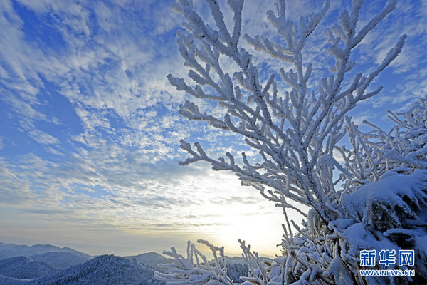 1122266100_15160732602641n 1122266100_15160732602641n