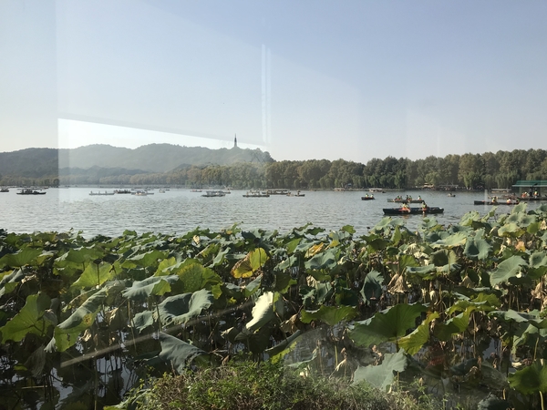 微信图片_20181112080944 微信图片_20181112080944