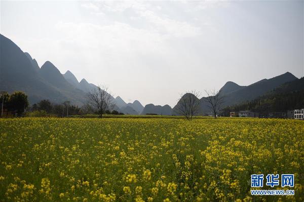 1122517003_15206643092921n 1122517003_15206643092921n