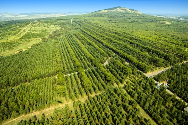 W020170822544638637619 W020170822544638637619