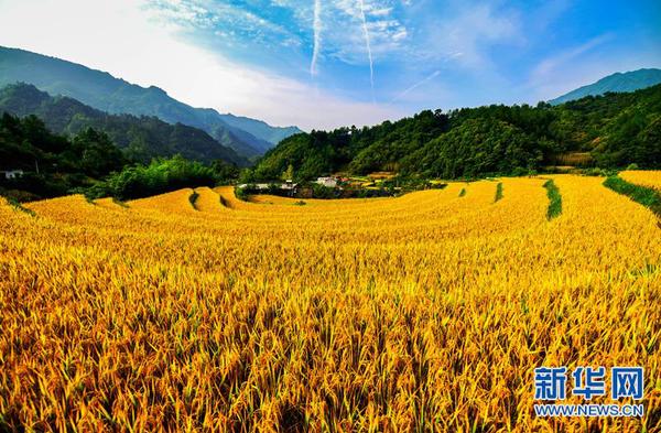 wKhTlFhRFkeEH8EvAAAAAJNmryA508 wKhTlFhRFkeEH8EvAAAAAJNmryA508