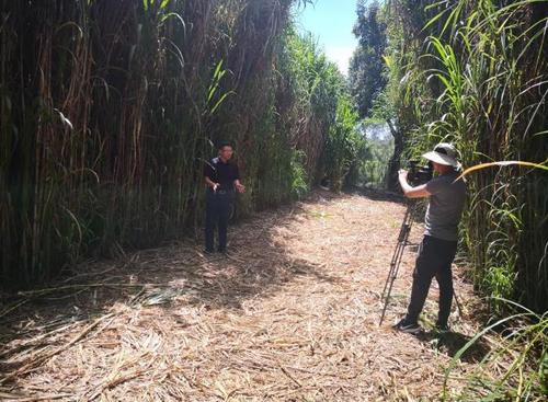 点击进入下一页