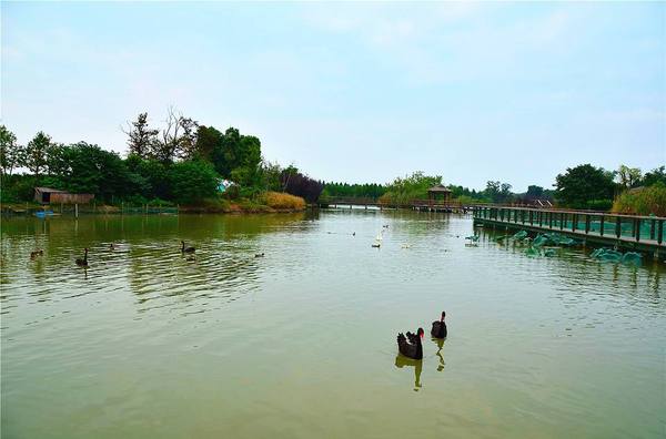 太湖湖长 太湖湖长