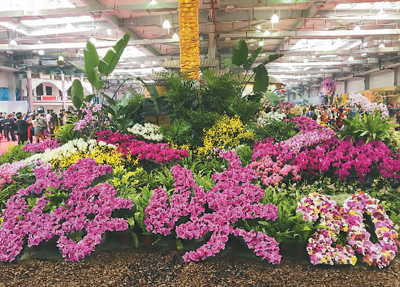 129997687_15426721101041n 129997687_15426721101041n