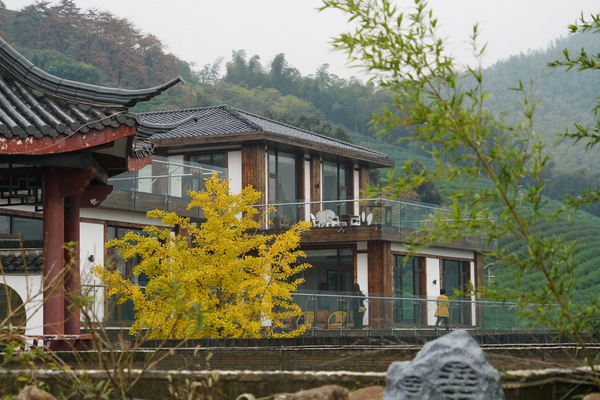 DSC00162(摄影:陈成) DSC00162(摄影:陈成)