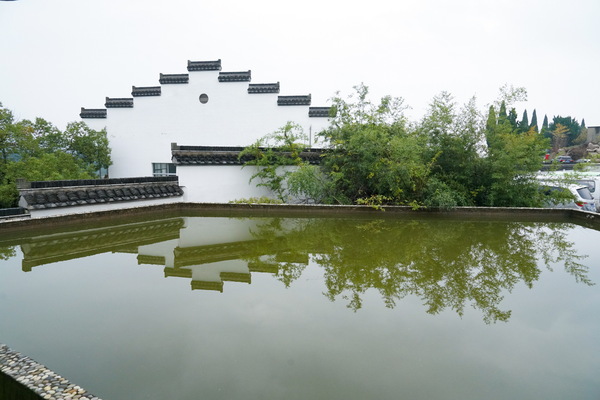 DSC00172(摄影:陈成) DSC00172(摄影:陈成)