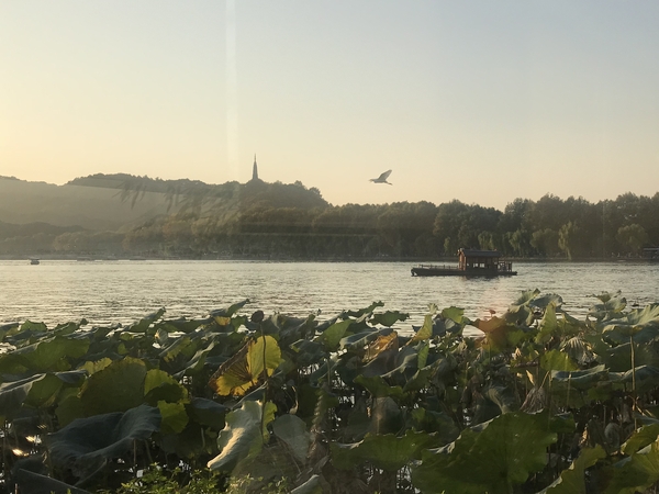 微信图片_20181121162428