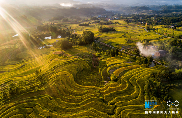 QQ截图20181122091218 QQ截图20181122091218