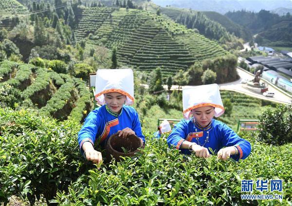 129999454_15428033755881n 129999454_15428033755881n