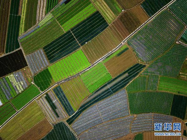 129999454_15428033753111n 129999454_15428033753111n