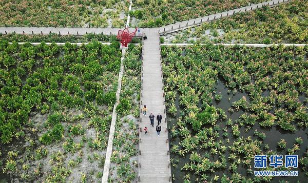 129999454_15428033750021n 129999454_15428033750021n