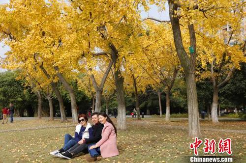 游人在宜昌滨江公园流连忘返 黄余洋 摄 游人在宜昌滨江公园流连忘返 黄余洋 摄