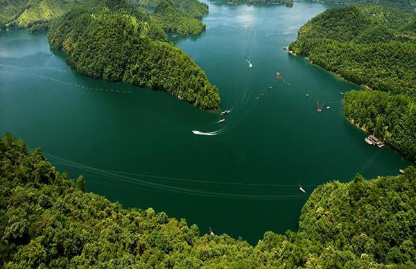 507b9d7638db1b1200f003 507b9d7638db1b1200f003