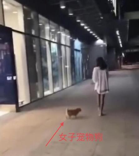 imagefile 640x716_5bf6992fb4423.jpg