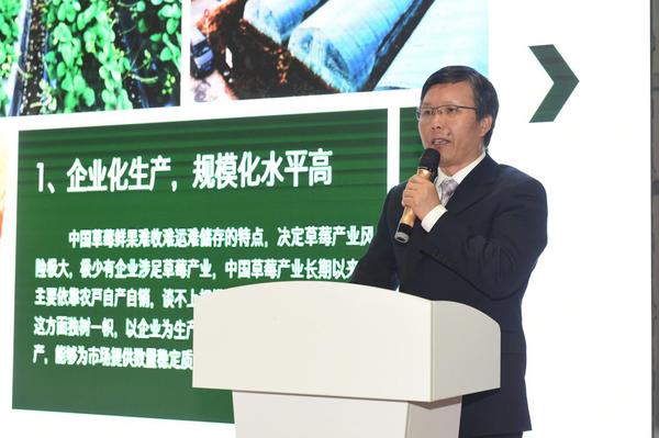 南京溧水区农业局局长陈晓燕发言 南京溧水区农业局局长陈晓燕发言