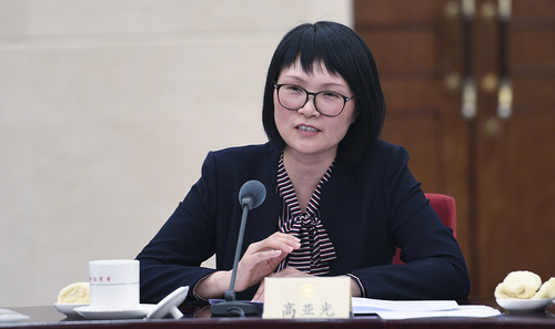 高亚光发言A 高亚光发言A