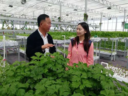 高宝军为记者介绍农业生态产业园 高宝军为记者介绍农业生态产业园