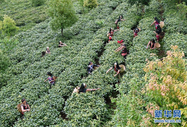 mp20211446_1435281803205_8 mp20211446_1435281803205_8