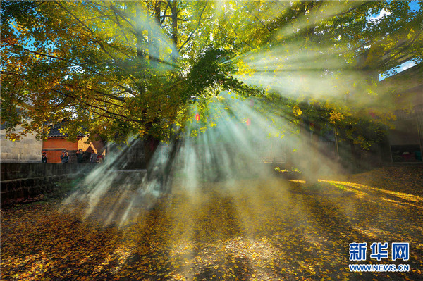 137603391_15421832438241n 137603391_15421832438241n