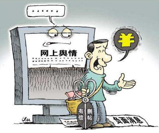 四川网络水军案2