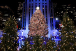 纽约洛克菲勒中心点亮圣诞树