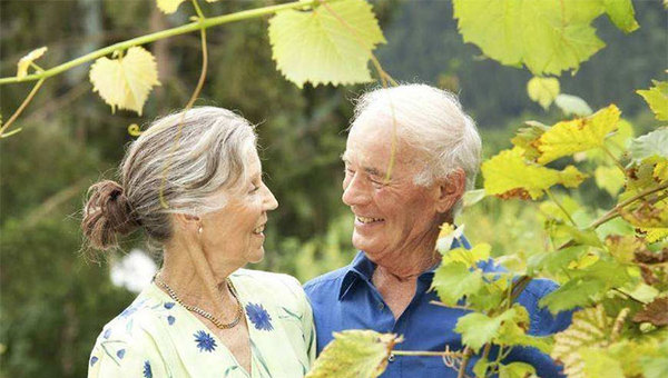 MAIN201811300936190743010854784 MAIN201811300936190743010854784